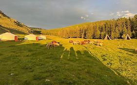 Sara'S Camp